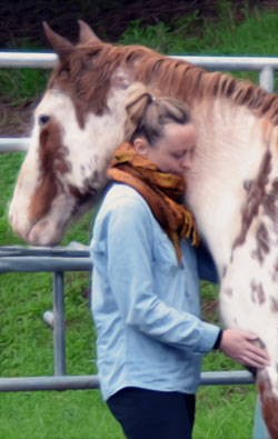 Mindfulness and Horses