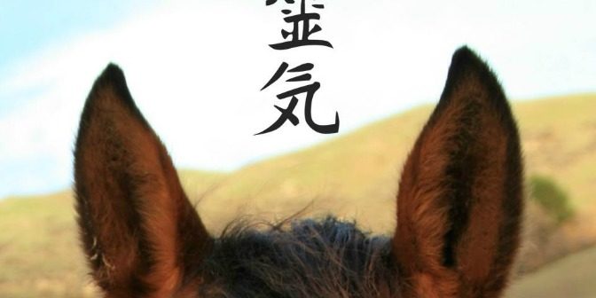 ears with symbol ready